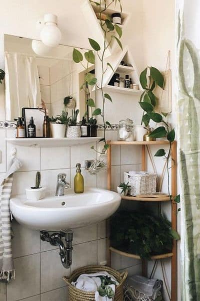 bathroom decor for apartment plant decor