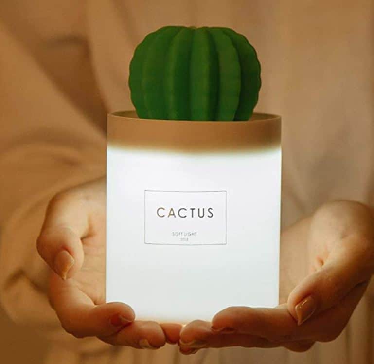 clever must have for college light up cactus humidifier and sents