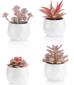 cheap apartment decor trendy white mini plant holders