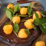 Chocolate Pumpkin Patch Brownie Cake