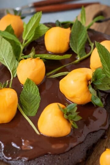 Chocolate Pumpkin Patch Brownie Cake