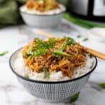 Crockpot Slow Cooker Soy Honey Garlic Chicken