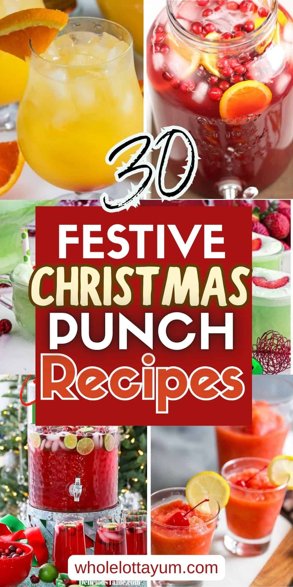 30 Christmas Punch Recipes Pinterest pin