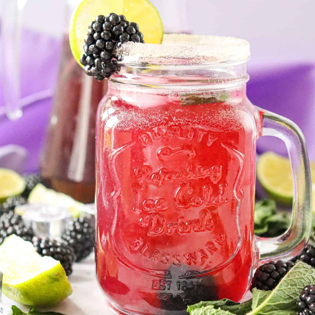 Blackberry Mojito Mocktail Recipe