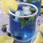Blueberry Mojito Mocktail