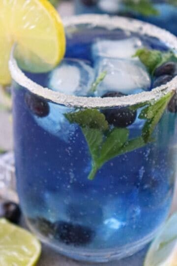 Blueberry Mojito Mocktail