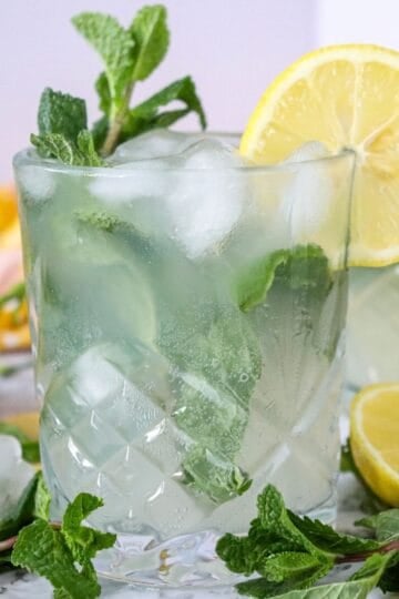 Easy Lemon Mojito Mocktail
