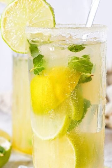 Virgin Mojito Mocktail