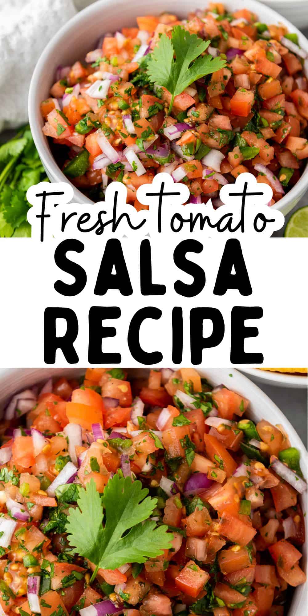 fresh salsa homemade