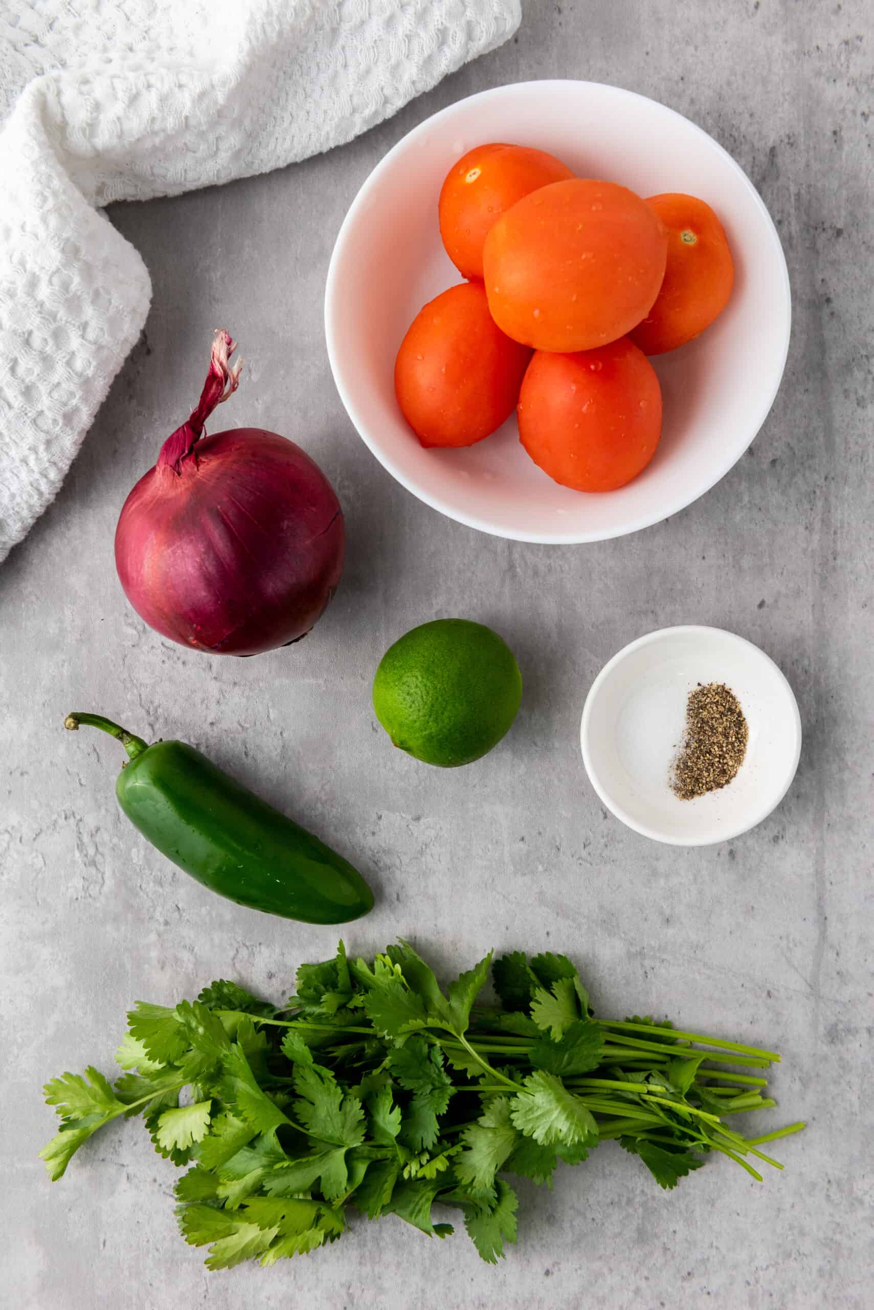 Image of ingredients needed to make homemade salsa.