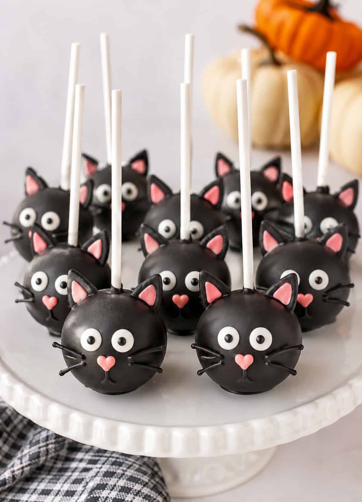 black cat cake pops on a white plate